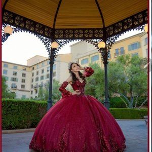 Quinceanera Dress (Ball Gown)